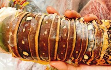 Đuôi tôm hùm cấp đông đi máy bay về Việt Nam "hét" giá 3 triệu đồng/kg