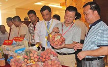 Thương nhân Việt bất ngờ với nhiều quy định mới của Trung Quốc