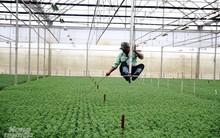 Nông dân 'thấm đòn' vì giá điện tăng!