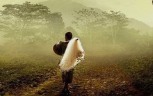 3 việc này, bất cứ ai biết nói KHÔNG sẽ tránh được bất an phiền muộn