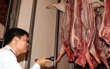 TP HCM khẩn cấp khống chế dịch tả heo châu Phi