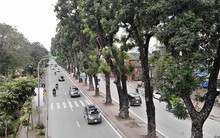 Ảnh: Đường Láng thay đổi bất ngờ, dân Thủ đô cứ ngỡ đang lạc vào đường phố Singapore