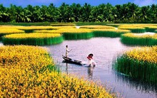 Ngành nông nghiệp xuất khẩu đạt gần 20 tỷ USD