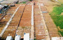 Cò đất lại lộng hành ở vùng ven TP HCM