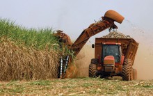 Đại diện VSSA: Ngành mía đường vẫn sẽ gặp khó trong vụ 2019 - 2020