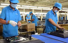 Tổng cục Thuế vào cuộc rà soát thuế đối với công ty Asanzo