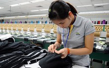 EVFTA tạo lợi thế cho những ngành hàng nào của Việt Nam?