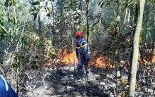 Đà Nẵng: Cháy lớn suốt 5 giờ khiến 3 hecta rừng bị thiêu rụi