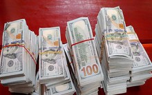 Sẽ sung công 470.000 USD nếu không ai đến nhận