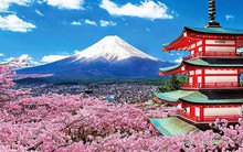 Vì sao 8 công ty Việt bị Đại sứ quán Nhật từ chối cấp visa đoàn?