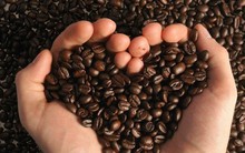 Đứng top 2 thế giới, thế mạnh Việt Nam gặp cú sụt mạnh