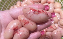 'Thần dược' ngọc kê Đông Tảo tiền triệu, hàng thải nước ngoài đổ Việt Nam