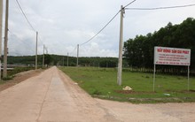 Lo sợ sốt ảo, Quảng Ninh tạm dừng đấu giá đất nền