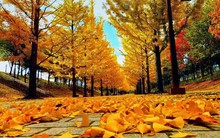 Hàn Quốc thay đổi chính sách visa 5 năm với người Việt ở 3 thành phố