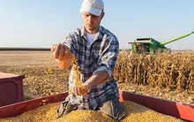 Từ câu chuyện nông sản đến "cuộc chiến" của Mỹ đẩy Trung Quốc ra khỏi chuỗi giá trị toàn cầu