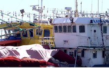 Gia tăng nợ xấu từ chương trình vay vốn đóng tàu theo Nghị định 67