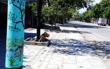 Thanh Hóa: Hàng trăm cây cột điện “bỗng nở hoa"