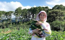 Đến người giàu như Lý Nhã Kỳ cũng chọn về quê trồng rau nuôi gà: Nữ diễn viên vô cùng hồ hởi trong những trang phục "quê mùa", dép tổ ong