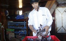 Giá lên, 1.000 tấn mực khô ở Quảng Nam thoát cảnh ứ đọng