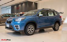 Những tân binh khó bán quyết thay đổi cuộc chơi tại Việt Nam