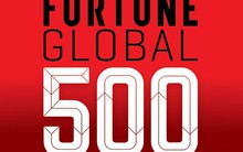 20 công ty lớn nhất toàn cầu theo doanh thu