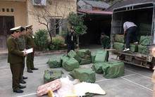 Lo Việt Nam thành bãi rác thịt heo, bò… bẩn