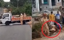 Bị truy đuổi, tài xế liều mạng tông thẳng vào xe CSGT chặn đường ở Gia Lai: Tạm giữ 3 nghi can