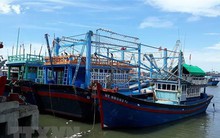 Ngư dân Phú Yên gặp nhiều vướng mắc về hạn ngạch khai thác thủy sản