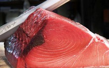 Công nghệ Nhật giữ cá ngừ tươi 20 ngày, rau củ dùng được trong 2 năm