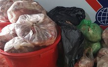 Phát hiện kho chứa hàng trăm cân thịt lợn bốc mùi hôi thối tại Đà Lạt