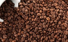 Cung vượt cầu, giá cà phê nội địa tiếp tục giảm sâu