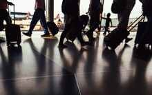 Đây là thời của các chuyên gia trẻ: Chịu khó làm ăn xa nhà trước 35 tuổi lại thành công nhất trong sự nghiệp lẫn tăng trưởng thu nhập