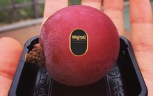 Nho đắt nhất thế giới về Việt Nam giá 6,5 triệu đồng/chùm, cửa hàng có bán lẻ từng trái