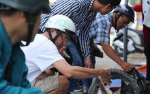 Người dân TP HCM chen nhau mua cá tầm bị ngộp nước