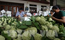 Thị trường hoa quả nội "lên ngôi" dịp Vu Lan báo hiếu