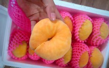 Chơi sang ăn đào Tây Ban Nha, ngã ngửa cú lừa hàng Trung Quốc