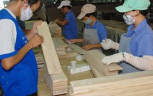 Ngành gỗ không lo nguồn gốc nguyên liệu