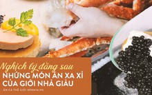 Phía sau nhiều món ăn đắt đỏ của hội nhà giàu là những sự thật mang đầy nghịch lý mà chẳng ai ngờ tới