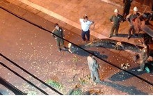 Vì sao chặt cây sưa lớn giữa phố cổ Hà Nội?