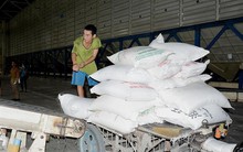 Gạo Việt Nam rớt giá vì Trung Quốc bất ngờ giảm mua