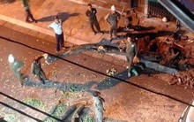 Lãnh đạo Công ty Công viên cây xanh Hà Nội nói gì về việc chặt hạ cây sưa trong đêm?