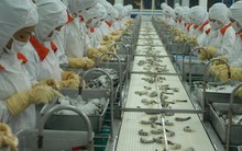 Tôm Việt Nam thoát án bán phá giá vào Mỹ