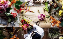 Bỏ ra 5 năm chỉ lấy công làm lãi, 10 năm sau thu bộn lợi nhuận, cách làm của ông chủ người Việt này khiến người Nhật phải khâm phục