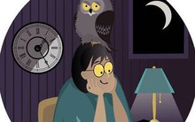 Cú đêm - những con người bị xem là chậm chạp, vô kỷ luật và vô trách nhiệm: Đừng học theo kiểu mẫu thành công của người khác, hãy lắng nghe điều cơ thể cần