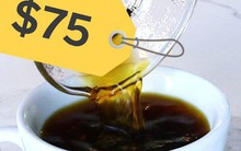 Đằng sau cái giá 41 triệu đồng/kg của "vàng đen" Elida Geisha: Loại cafe cực khó chăm, chỉ ngon nếu trồng ở một loại đất đặc biệt