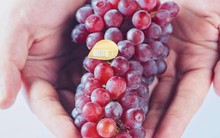 Nho chuỗi ngọc siêu nhỏ 2 triệu đồng/chùm vẫn gây "sốt"