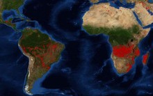 Châu Phi đang bị thiêu đốt, số vụ cháy rừng nhiều gấp 5 lần ở Amazon