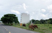 Chuyện lạ ở TP.HCM: Nơi giá đất 300 triệu đồng/m2, biệt thự xây dở không người ở