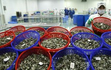 Trung Quốc liên tục thay đổi, hàng Việt ùn tắc trở tay không kịp