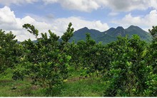 Thái Nguyên thu hút trên 115.000 tỷ đồng vốn đầu tư